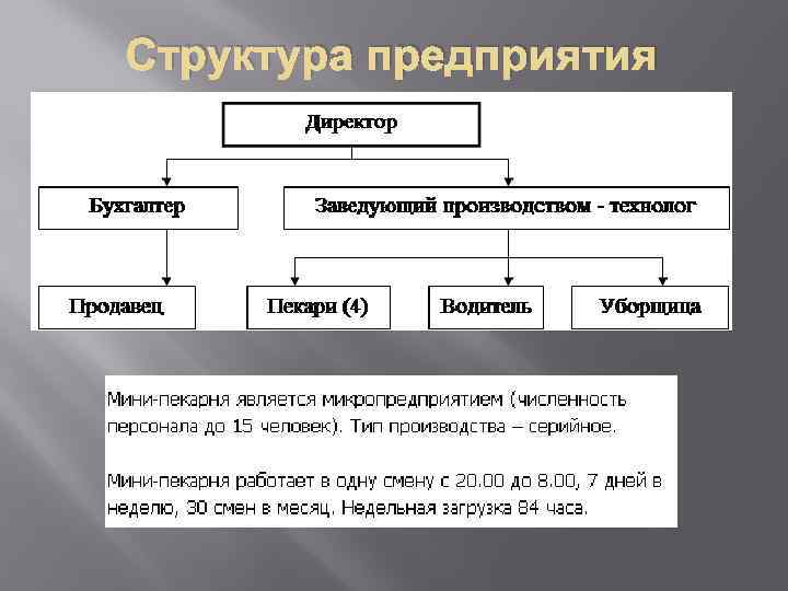 Структура предприятия 