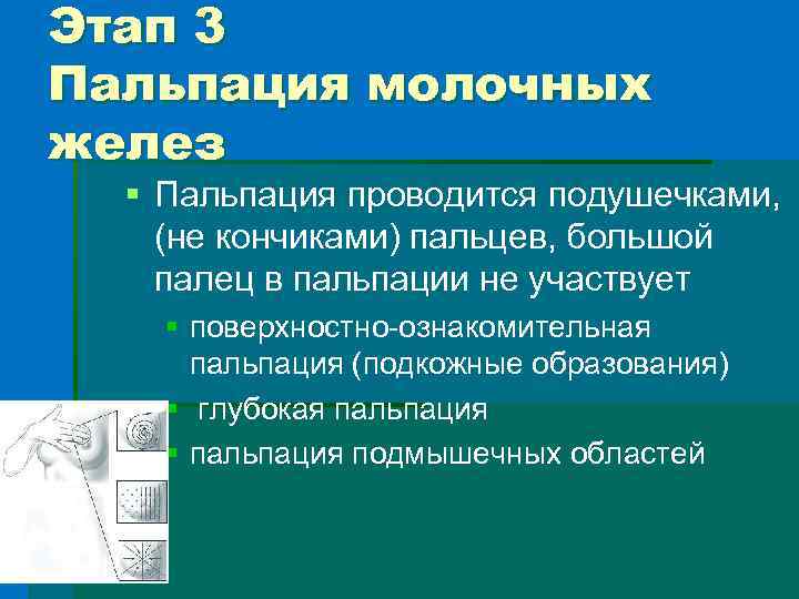 Этап 3 Пальпация молочных желез § Пальпация проводится подушечками, (не кончиками) пальцев, большой палец