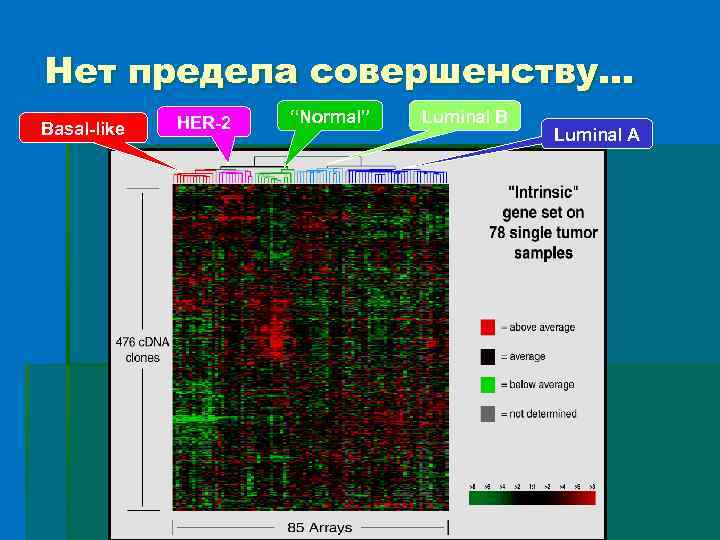 Нет предела совершенству… Basal-like HER-2 “Normal” Luminal B Luminal A 