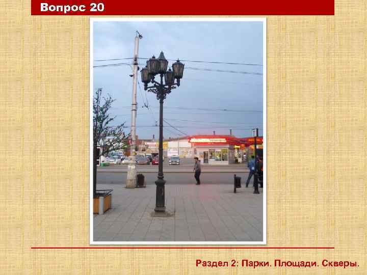 Вопрос 20 Раздел 2: Парки. Площади. Скверы. 