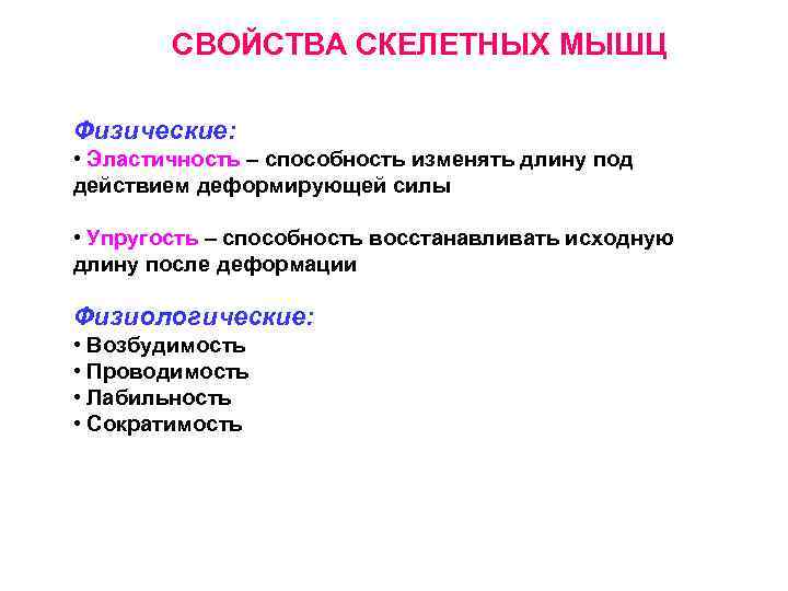 СВОЙСТВА СКЕЛЕТНЫХ МЫШЦ Физические: • Эластичность – способность изменять длину под действием деформирующей силы