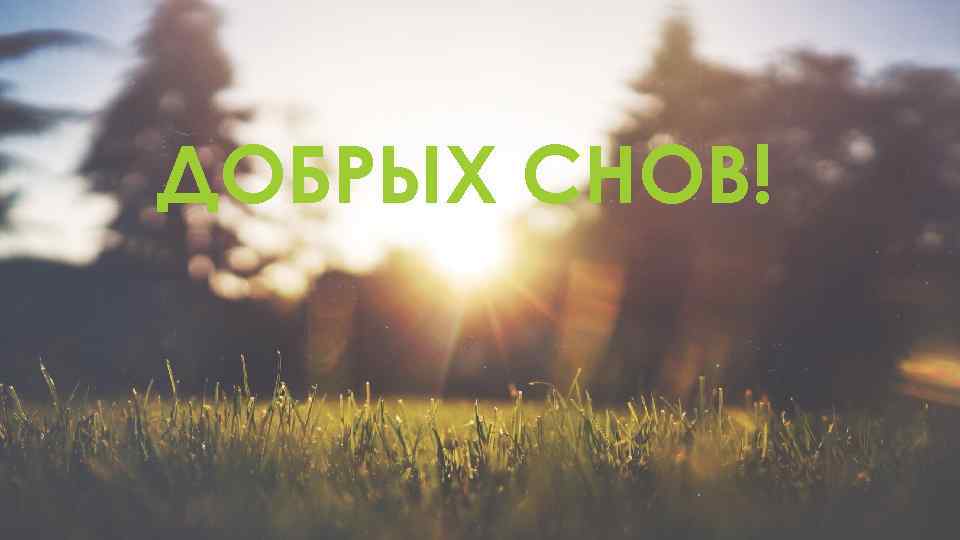 ДОБРЫХ СНОВ! 
