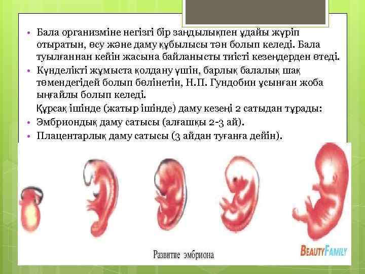  • Бала организміне негізгі бір заңдылықпен ұдайы жүріп отыратын, өсу және даму құбылысы