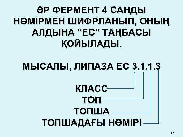 ӘР ФЕРМЕНТ 4 САНДЫ НӨМІРМЕН ШИФРЛАНЫП, ОНЫҢ АЛДЫНА “ЕС” ТАҢБАСЫ ҚОЙЫЛАДЫ. МЫСАЛЫ, ЛИПАЗА ЕС