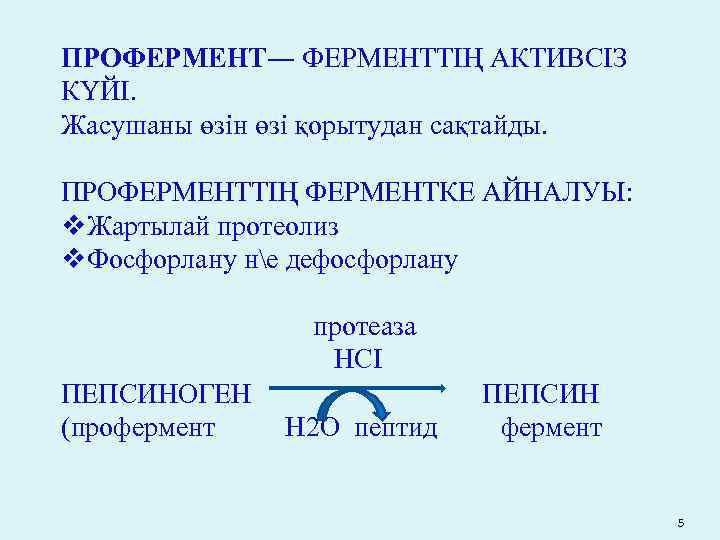 ПРОФЕРМЕНТ― ФЕРМЕНТТІҢ АКТИВСІЗ КҮЙІ. Жасушаны өзін өзі қорытудан сақтайды. ПРОФЕРМЕНТТІҢ ФЕРМЕНТКЕ АЙНАЛУЫ: v. Жартылай