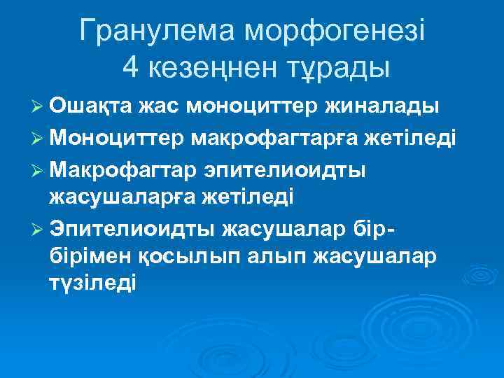 Гранулема морфогенезі 4 кезеңнен тұрады Ø Ошақта жас моноциттер жиналады Ø Моноциттер макрофагтарға жетіледі