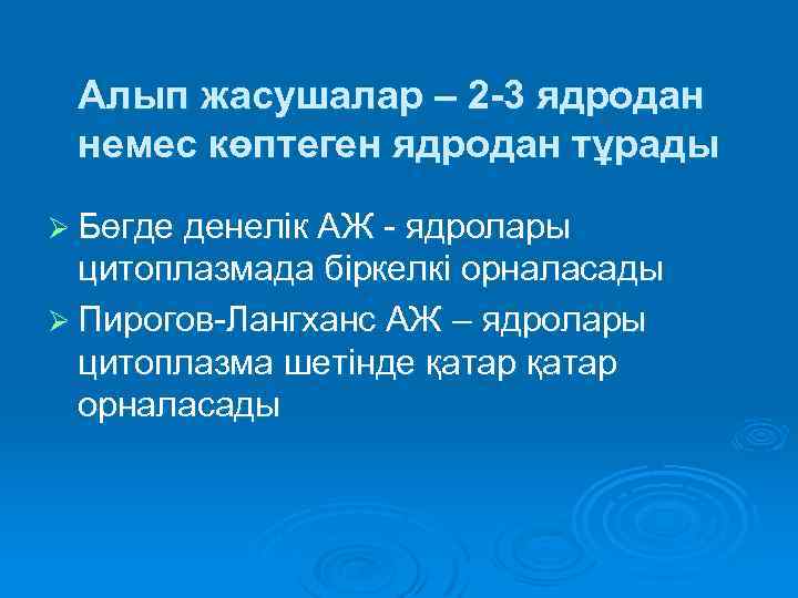 Алып жасушалар – 2 -3 ядродан немес көптеген ядродан тұрады Ø Бөгде денелік АЖ