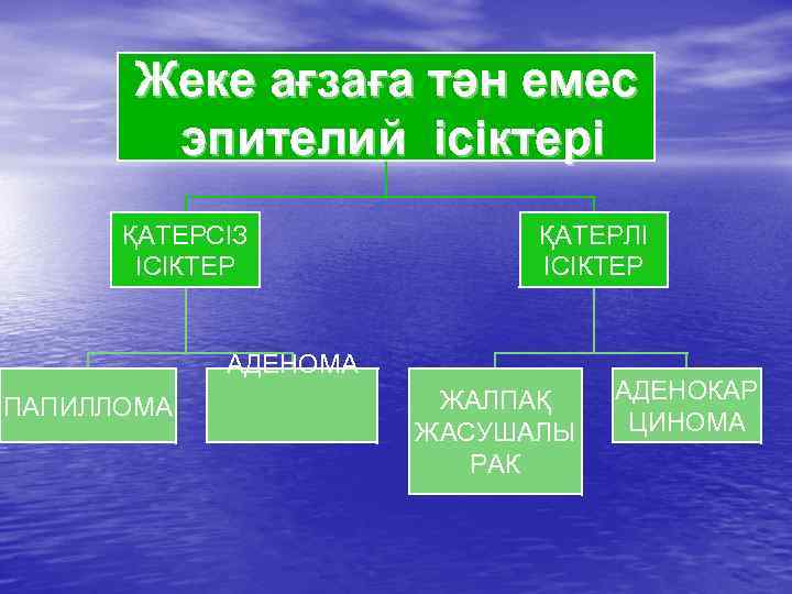 Жеке ағзаға тән емес эпителий ісіктері ҚАТЕРСІЗ ІСІКТЕР ҚАТЕРЛІ ІСІКТЕР АДЕНОМА ПАПИЛЛОМА ЖАЛПАҚ ЖАСУШАЛЫ