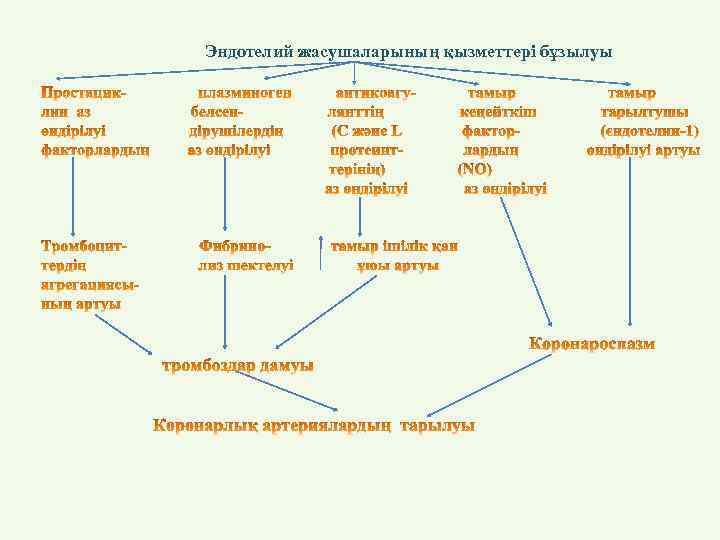 Эндотелий жасушаларының қызметтері бұзылуы 