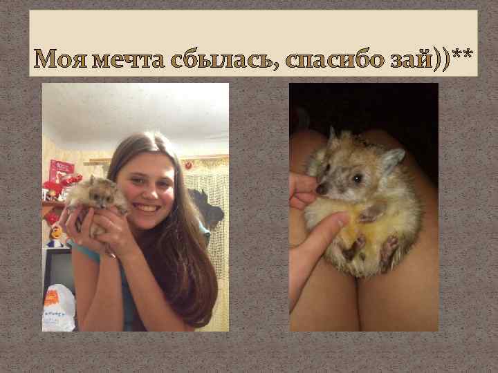 Моя мечта сбылась, спасибо зай))** 