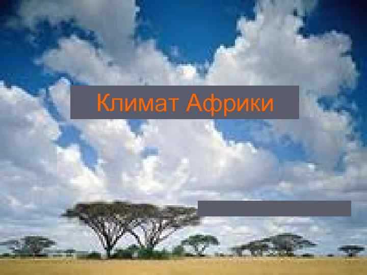 Климат Африки 