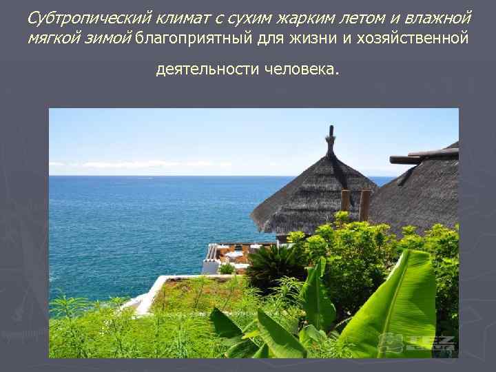 Субтропический климат с сухим жарким летом и влажной мягкой зимой благоприятный для жизни и