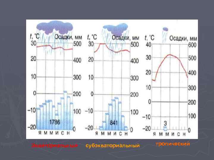 Экваториальный субэкваториальный тропический 