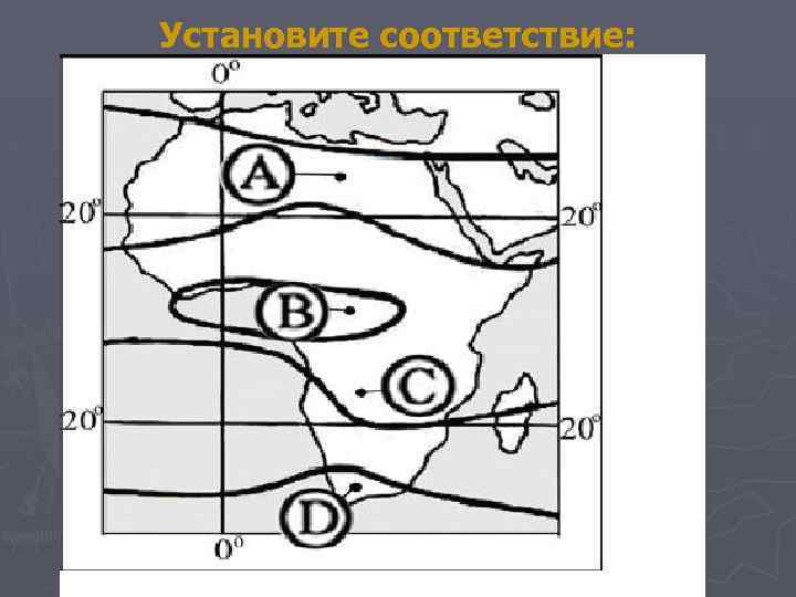 Установите соответствие: 