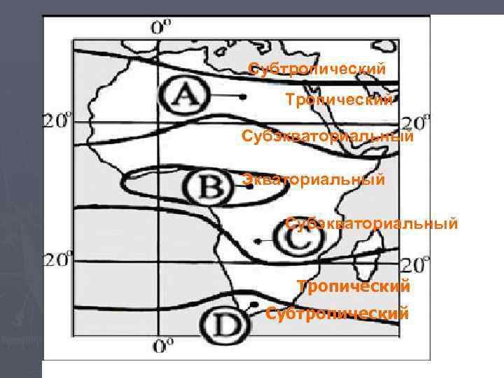 Субтропический Тропический Субэкваториальный Экваториальный Субэкваториальный Тропический Субтропический 