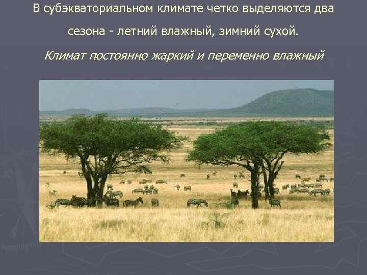 В субэкваториальном климате четко выделяются два сезона - летний влажный, зимний сухой. Климат постоянно