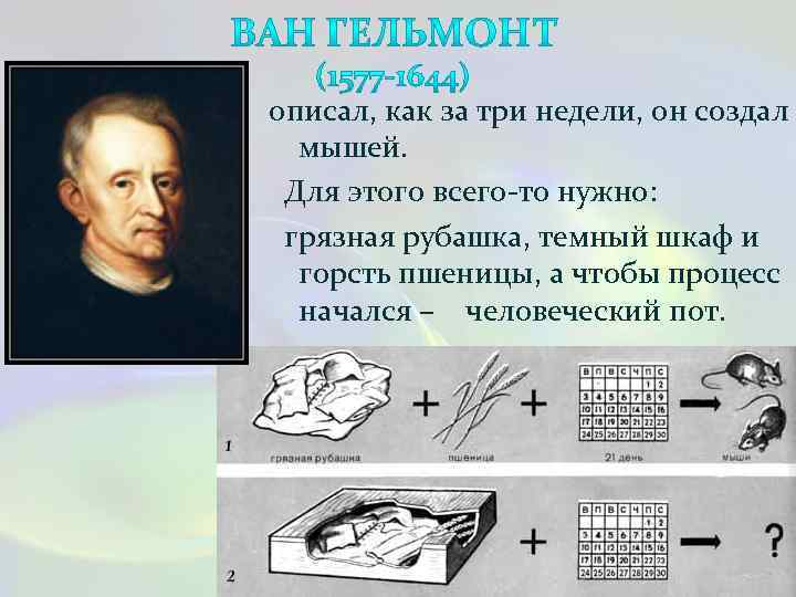 описал, как за три недели, он создал мышей. Для этого всего-то нужно: грязная рубашка,