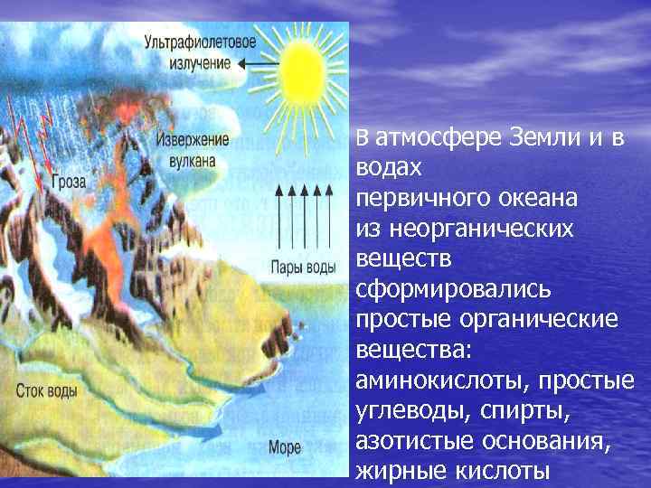 В атмосфере Земли и в водах первичного океана из неорганических веществ сформировались простые органические