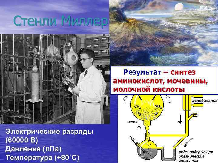 Стенли Миллер Результат – синтез аминокислот, мочевины, молочной кислоты Электрические разряды (60000 В) Давление