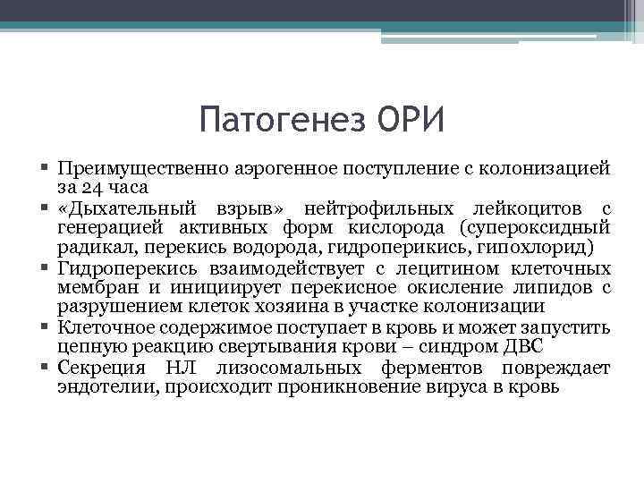 Патогенез ОРИ § Преимущественно аэрогенное поступление с колонизацией за 24 часа § «Дыхательный взрыв»