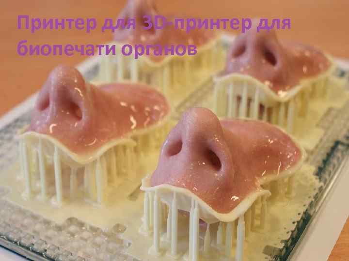 Принтер для 3 D-принтер для биопечати органов 