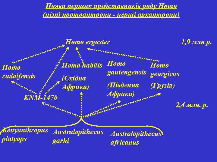 Поява перших представників роду Homo (пізні протоантропи - перші архантропи) 1, 9 млн р.