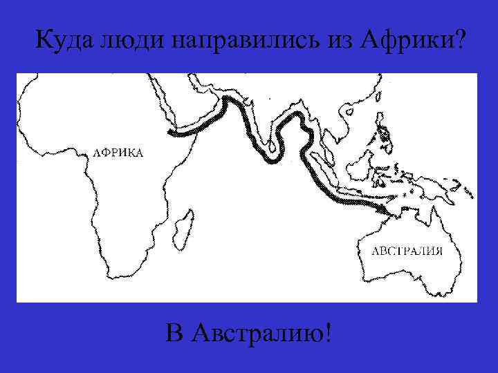 Куда люди направились из Африки? В Австралию! 