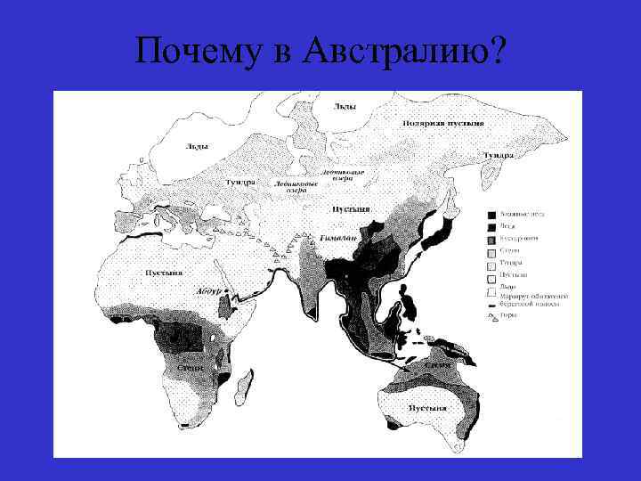 Почему в Австралию? 