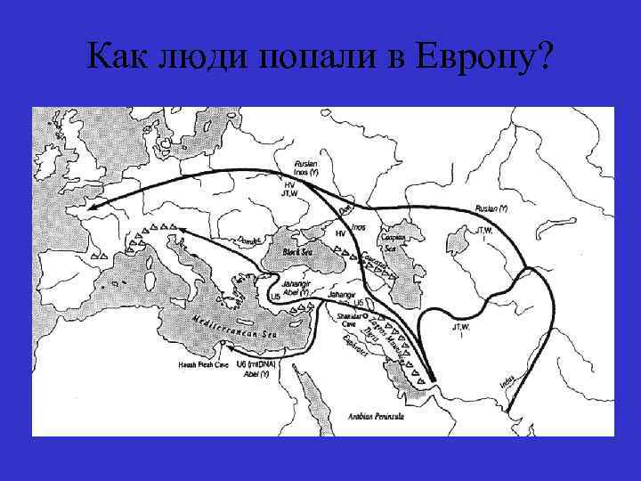 Как люди попали в Европу? 