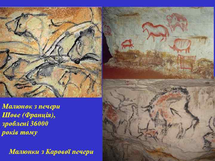 Малюнок з печери Шове (Франція), зроблені 36000 років тому Малюнки з Карової печери 