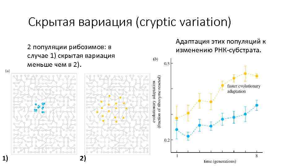 Скрытая вариация (cryptic variation) 2 популяции рибозимов: в случае 1) скрытая вариация меньше чем