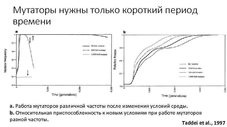 Мутаторы нужны только короткий период времени a. Работа мутаторов различной частоты после изменения условий