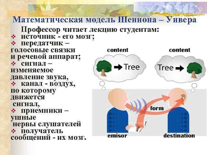 Математическая модель Шеннона – Уивера Профессор читает лекцию студентам: v источник - его мозг;