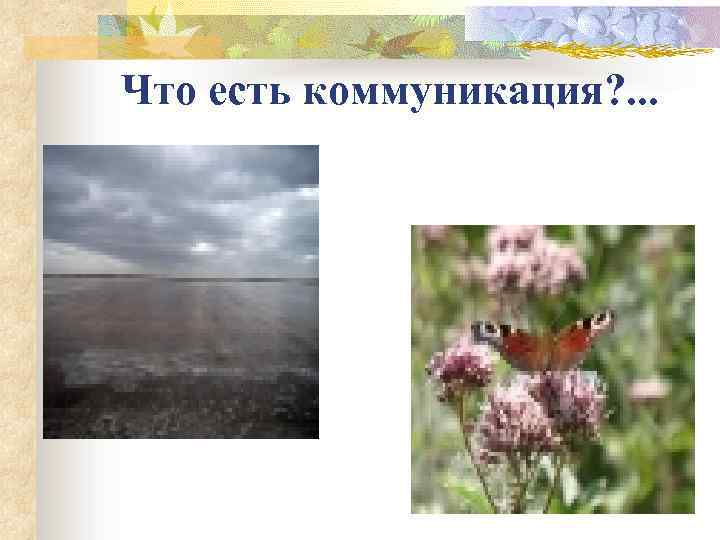 Что есть коммуникация? . . . 