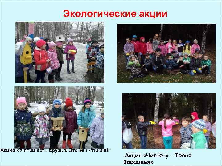 Экологические акции « Акция «У птиц есть друзья. Это мы - ты и я!