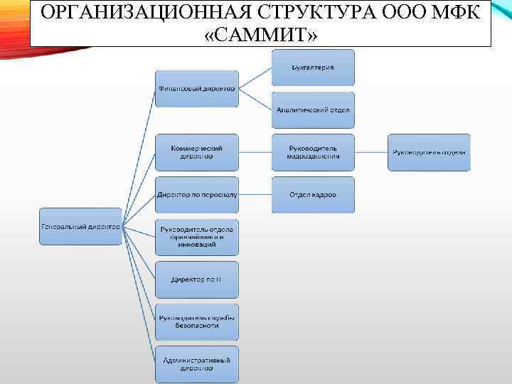 ОРГАНИЗАЦИОННАЯ СТРУКТУРА ООО МФК «САММИТ» 