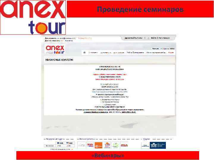 Проведение семинаров «Вебинары» 