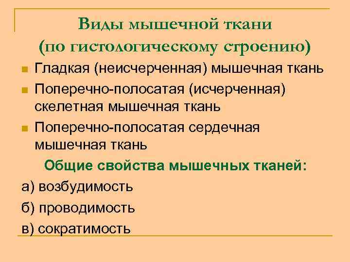 Виды мышечной ткани (по гистологическому строению) Гладкая (неисчерченная) мышечная ткань n Поперечно-полосатая (исчерченная) скелетная