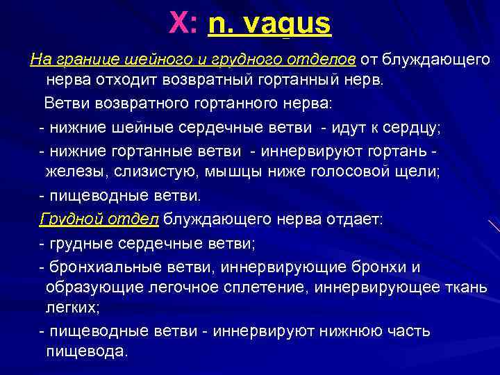 X: n. vagus На границе шейного и грудного отделов от блуждающего нерва отходит возвратный