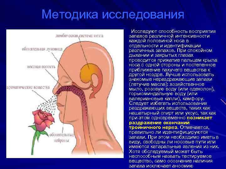 Методика исследования Исследуют способность восприятия запахов различной интенсивности каждой половиной носа в отдельности и