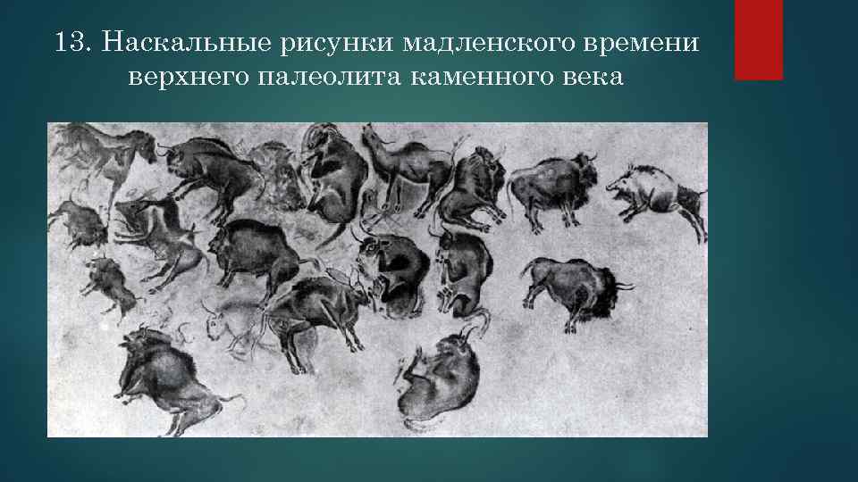 13. Наскальные рисунки мадленского времени верхнего палеолита каменного века 