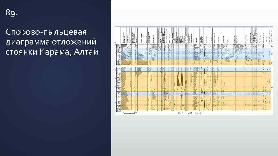 89. Спорово-пыльцевая диаграмма отложений стоянки Карама, Алтай 