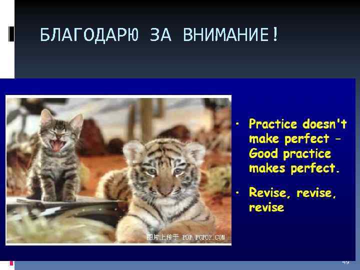 БЛАГОДАРЮ ЗА ВНИМАНИЕ! 49 