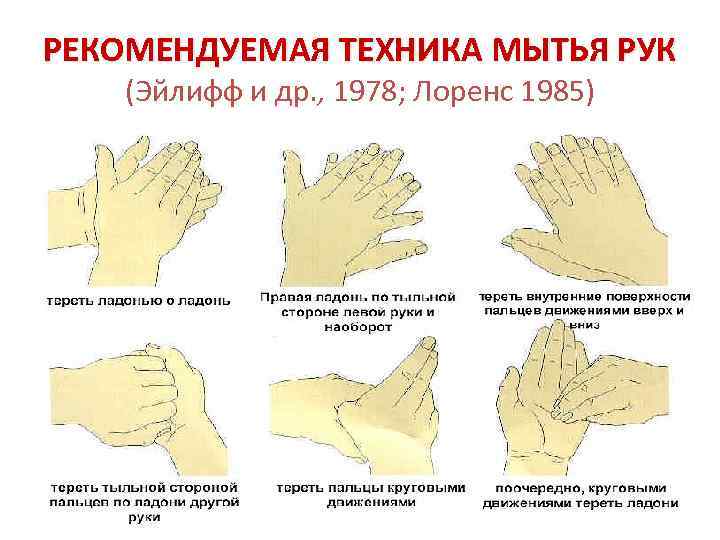 РЕКОМЕНДУЕМАЯ ТЕХНИКА МЫТЬЯ РУК (Эйлифф и др. , 1978; Лоренс 1985) 