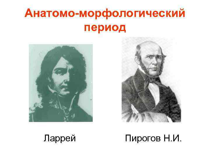 Анатомо-морфологический период Ларрей Пирогов Н. И. 