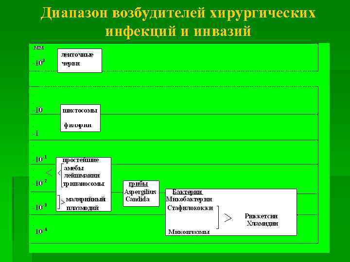 Диапазон возбудителей хирургических инфекций и инвазий 