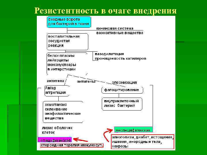 Резистентность в очаге внедрения 