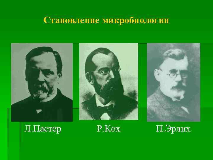 Становление микробиологии Л. Пастер Р. Кох П. Эрлих 