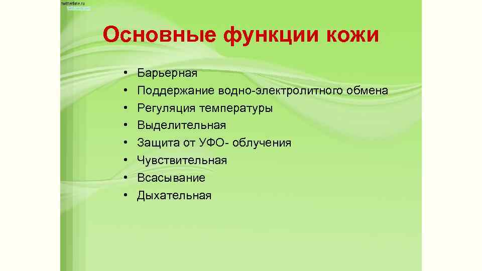 Основные функции кожи • • Барьерная Поддержание водно-электролитного обмена Регуляция температуры Выделительная Защита от