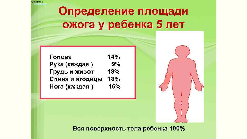 Определение площади ожога у ребенка 5 лет Голова Рука (каждая ) Грудь и живот